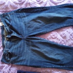 Women's Lee Rider's Blue Jeans